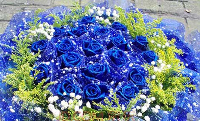 藁城花店行业的最新趋势与发展