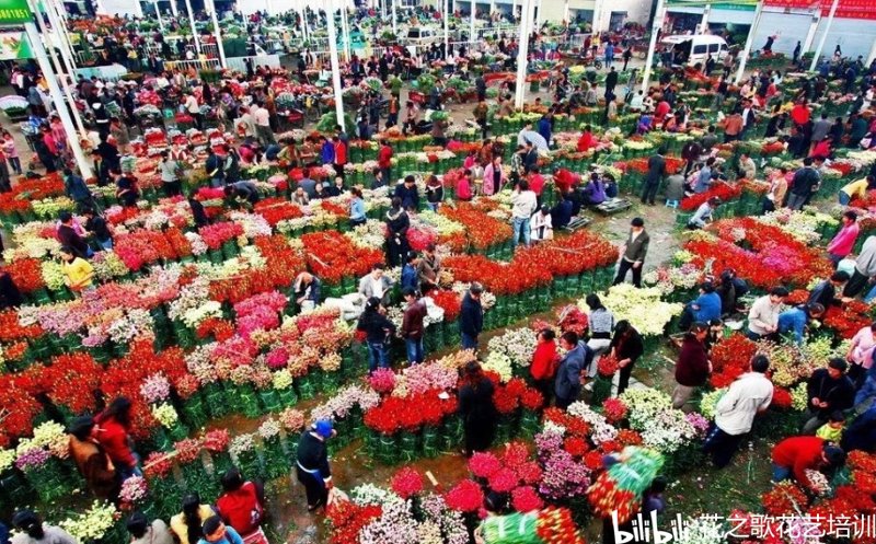 藁城区鲜花网：打造城市浪漫之源