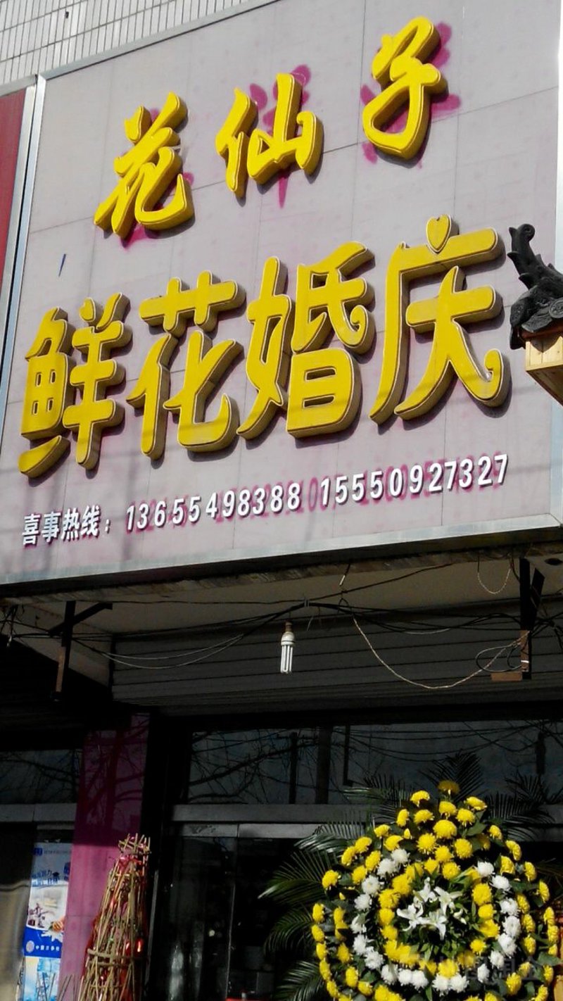 探索创新花艺：藁城区鲜花网引领行业新风尚